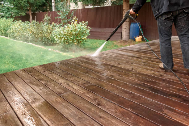 Best Animal Enclosure Cleaning  in Fountainebleau, FL