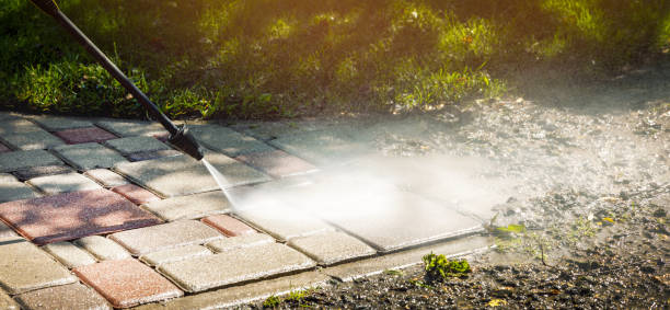 Best Roof Washing  in Fountainebleau, FL